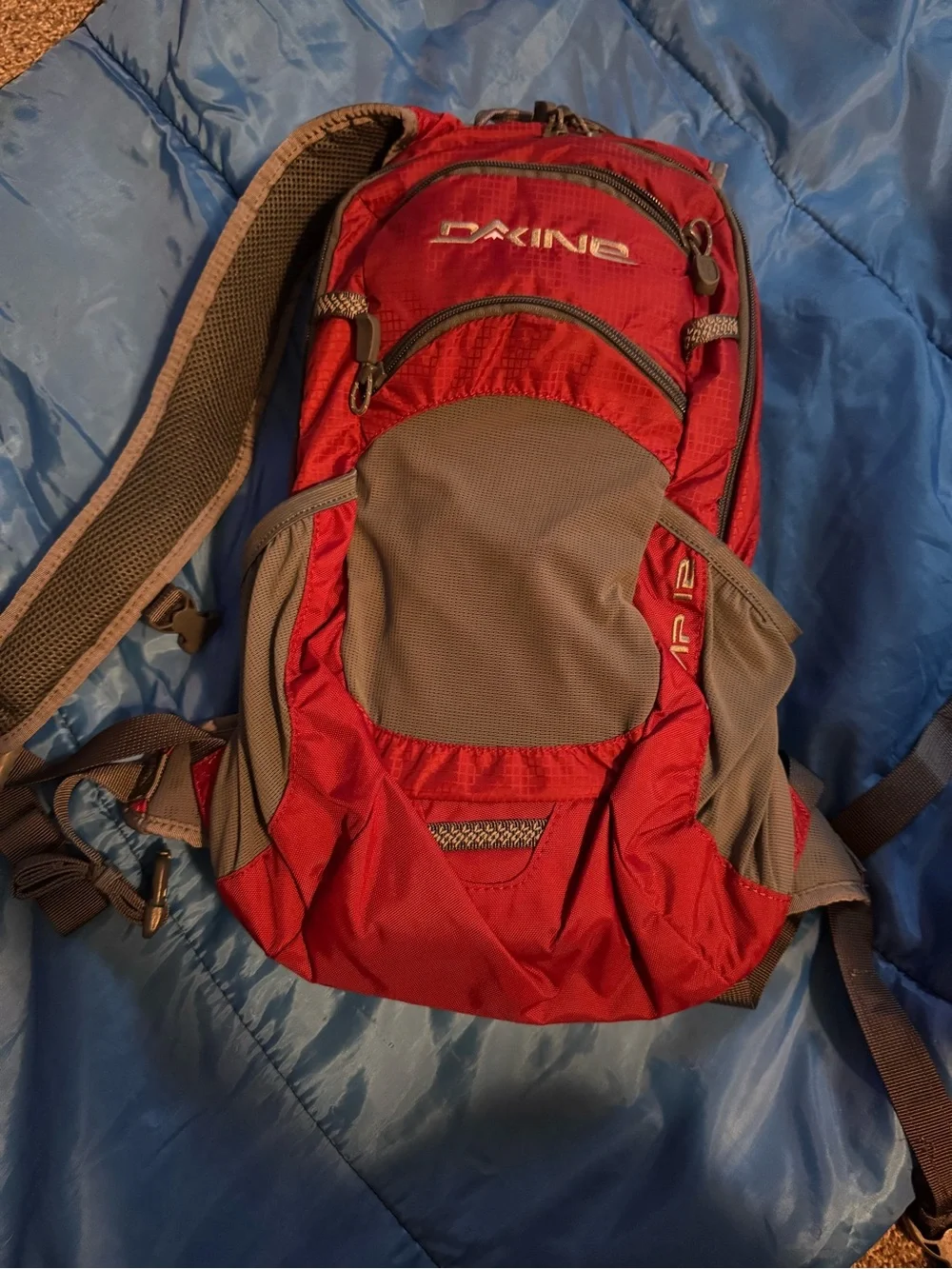 Dakine Red and Gray Men's Daypack Backpack